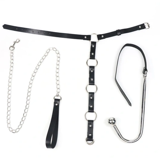 5853 Collar Hook Leash Anal and EverydayUse Kinky with 0122